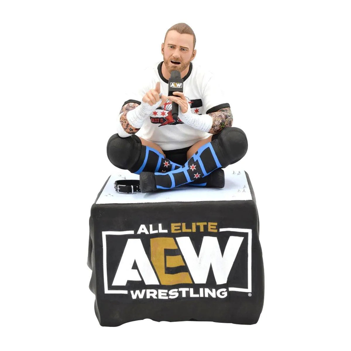 DSTSEP222415 AEW - CM Punk Gallery PVC Statue - Diamond Select Toys - Titan Pop Culture