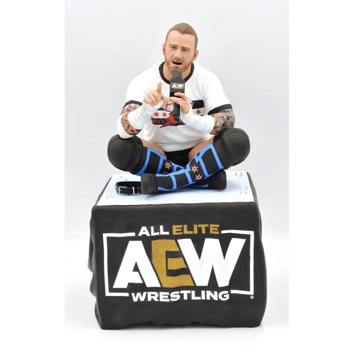 DSTSEP222415 AEW - CM Punk Gallery PVC Statue - Diamond Select Toys - Titan Pop Culture