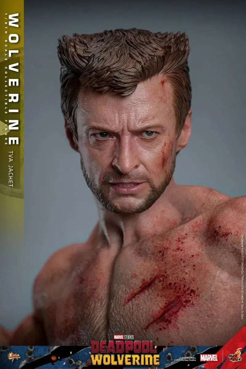 HOTMMS756 Deadpool & Wolverine - Wolverine (TVA Jacket) 1:6 Scale Collectable Action Figure - Hot Toys - Titan Pop Culture