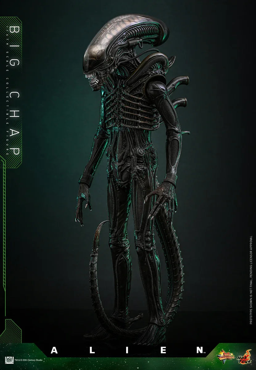 Alien - Figura de acción coleccionable de Alien Big Chap a escala 1:6