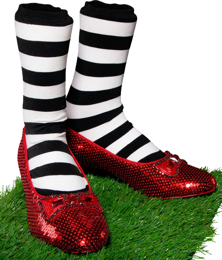 Wizard of Oz - Dorothy and Wicked Witch's Replica Ruby Slippers