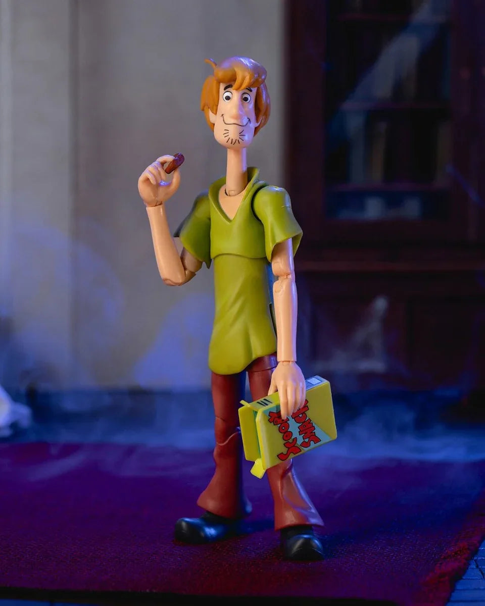 Scooby Doo - Shaggy 6" Action Figure