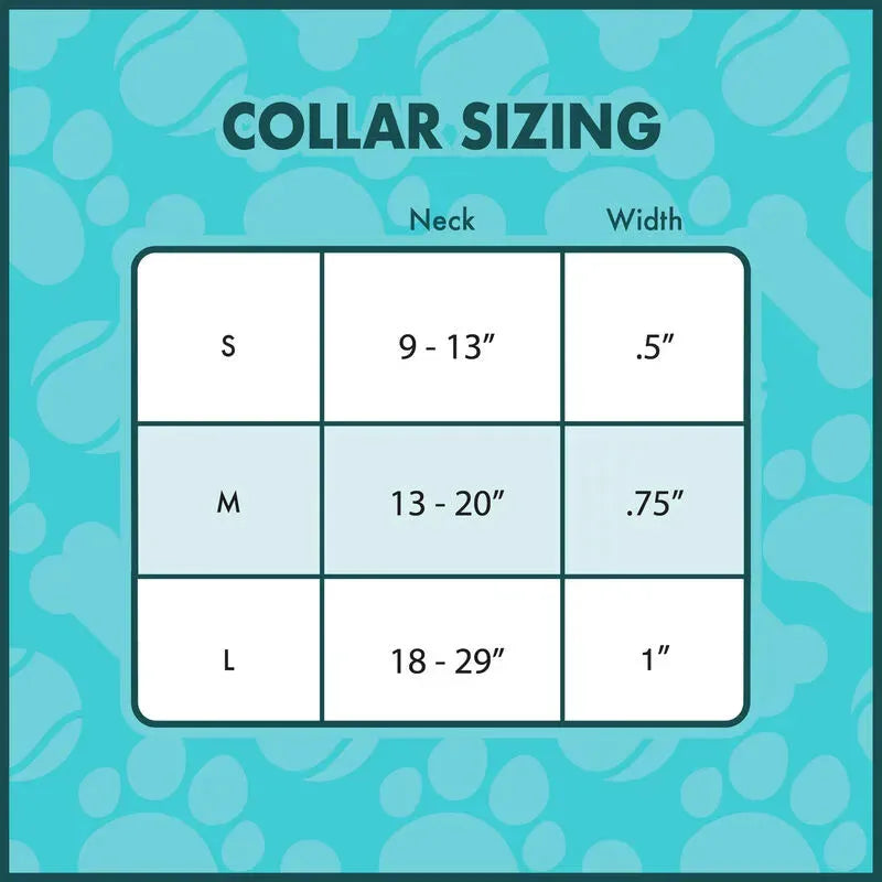 LOUBTJPDC0001M Beetlejuice - Sandworm Collar (Medium) - Loungefly - Titan Pop Culture