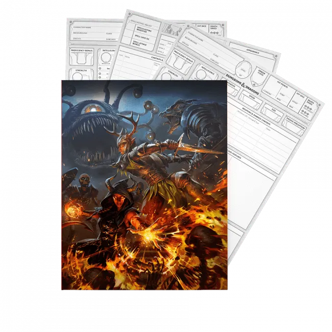 27646 D&D Dungeons & Dragons Character Sheets 2024 - Wizards of the Coast - Titan Pop Culture