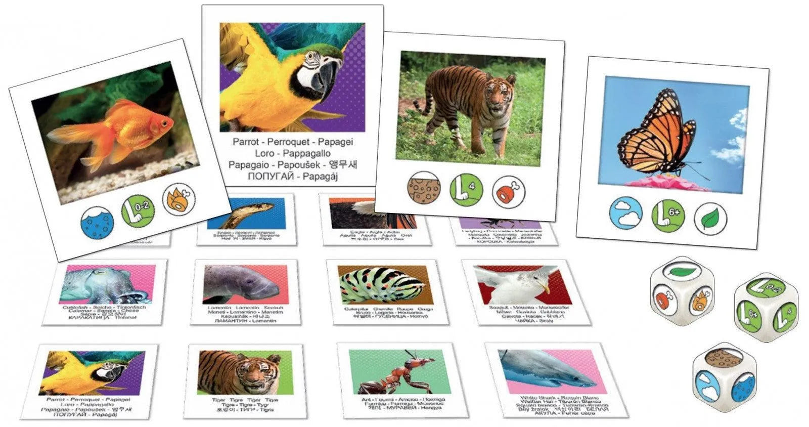 VR-55290 Specific - Gigamic - Titan Pop Culture