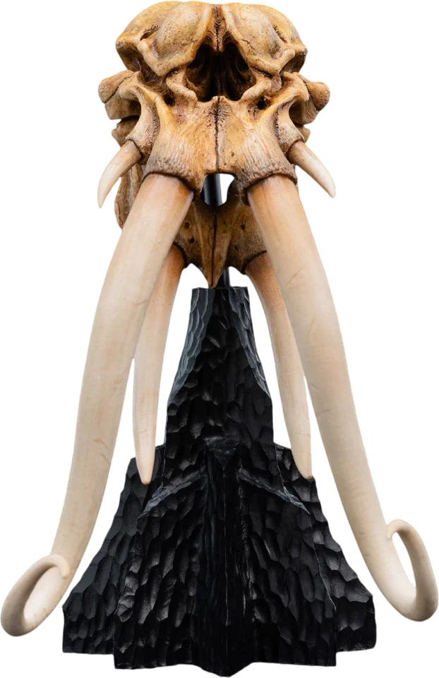 The Lord of the Rings - Skull of A Mumak SDCC 2025 Miniature Statue