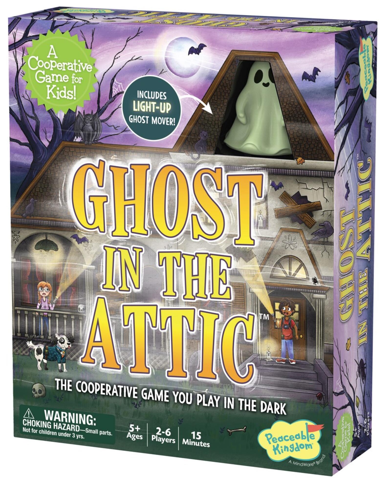Ghost in the Attic