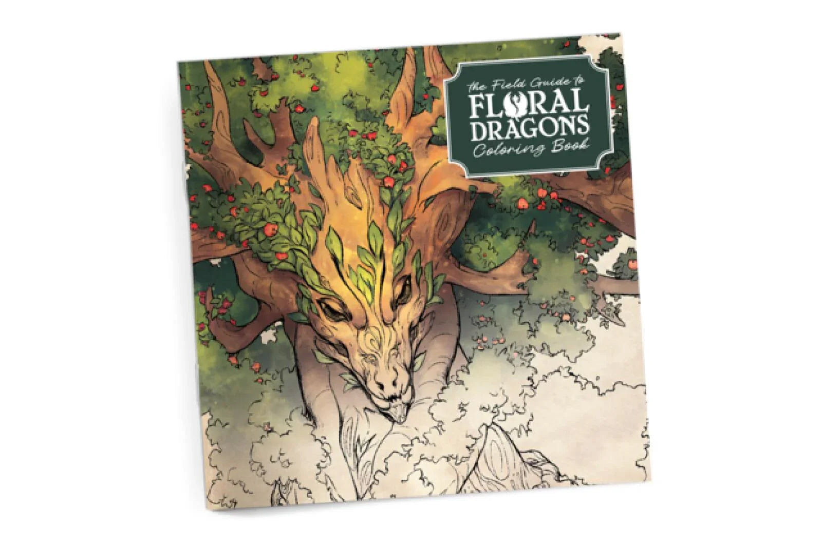 Field Guide to Floral Dragons Coloring Book