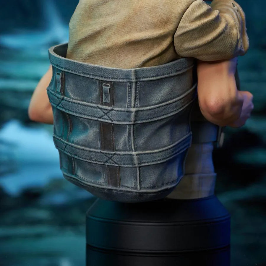 DSTNOV232005 Star Wars: The Empire Strikes Back -Luke Skywalker with Yoda 1:6 Scale Mini Bust - Diamond Select Toys - Titan Pop Culture