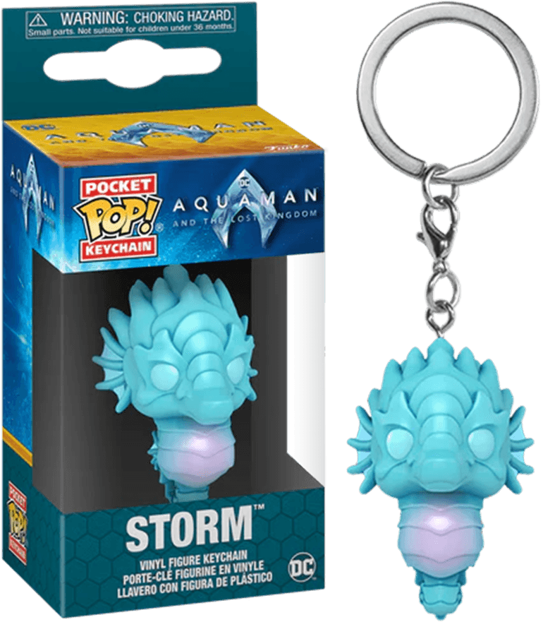 Aquaman and the Lost Kingdom - Storm Pop! Keychain Pocket Pop! Keychain by Funko | Titan Pop Culture
