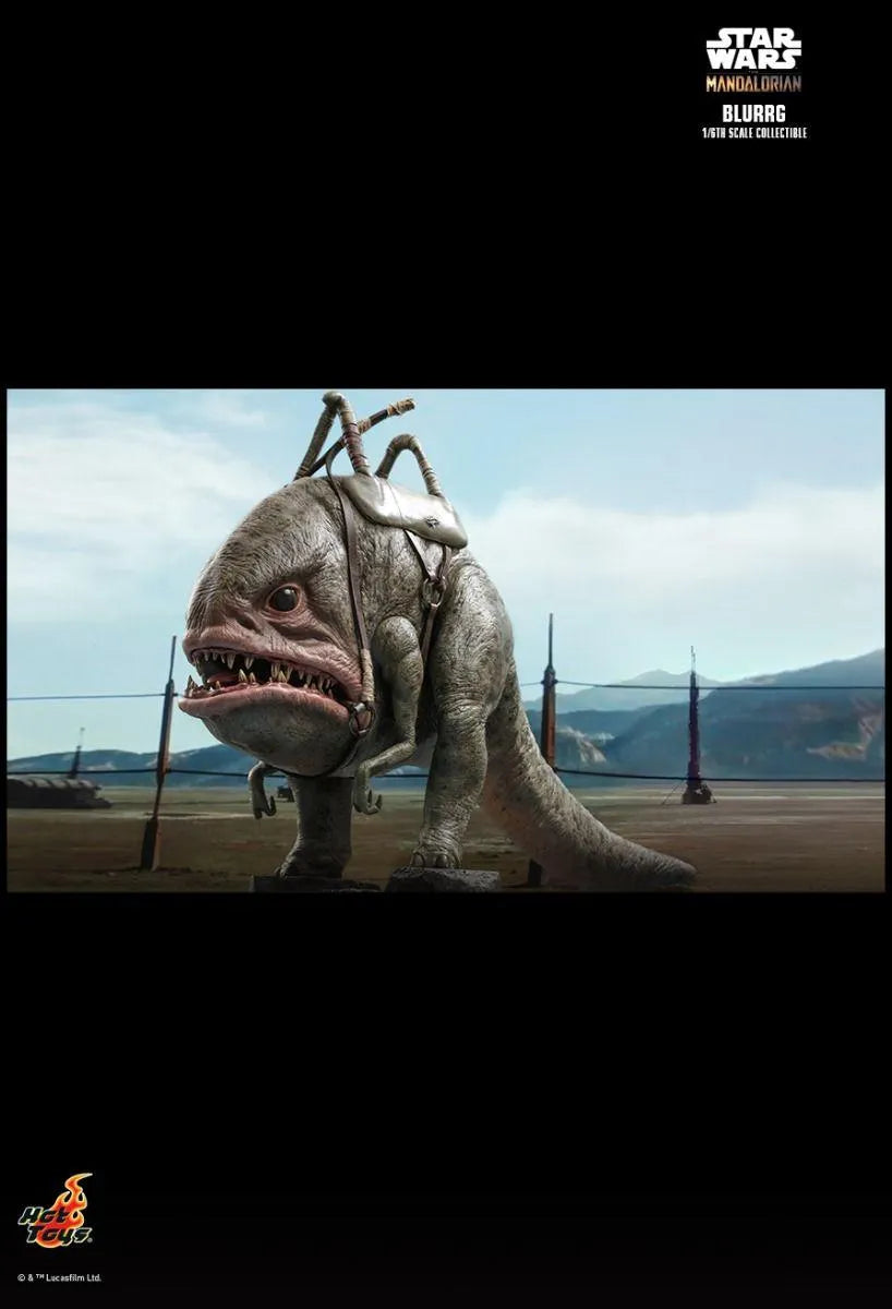 HOTTMS045 Star Wars: The Mandalorian - Blurrg 1:6 Scale Action Figure - Hot Toys - Titan Pop Culture