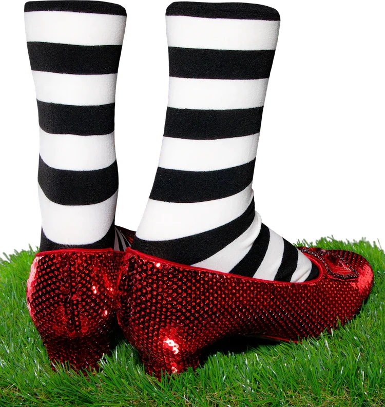Wizard of Oz - Dorothy and Wicked Witch's Replica Ruby Slippers