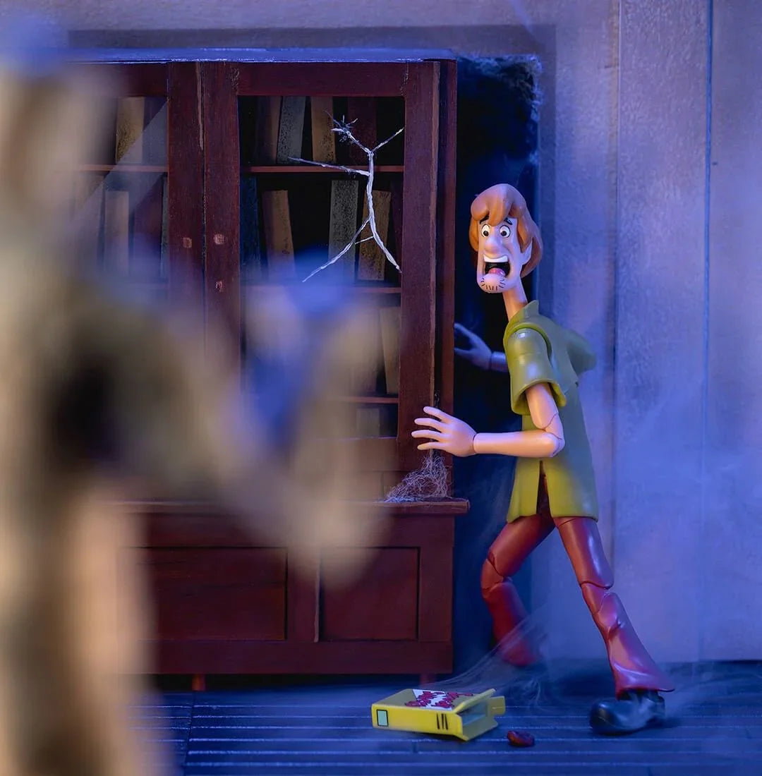 Scooby Doo - Shaggy 6" Action Figure