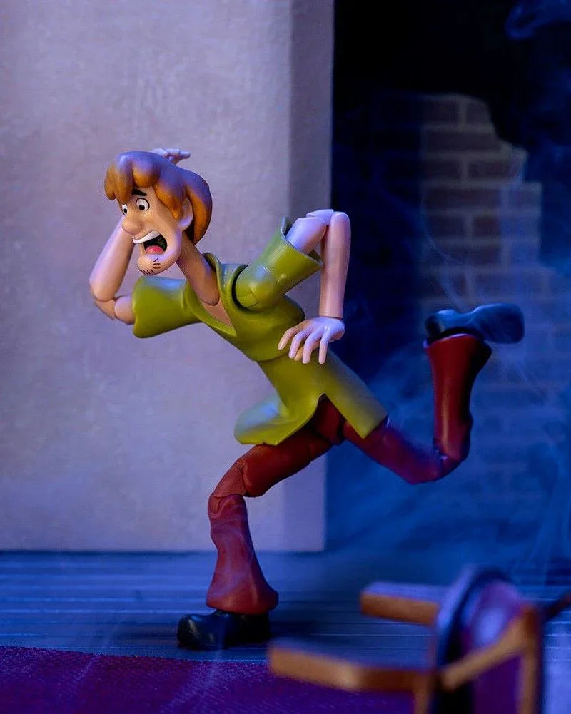 Scooby Doo - Shaggy 6" Action Figure