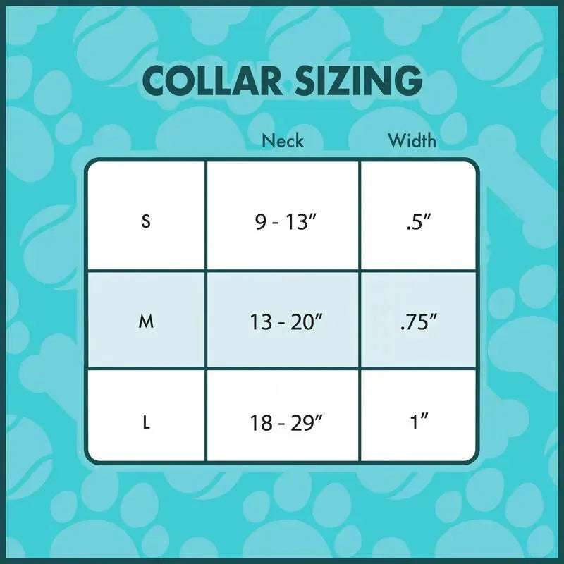 LOUBTJPDC0001L Beetlejuice - Sandworm Collar (Large) - Loungefly - Titan Pop Culture