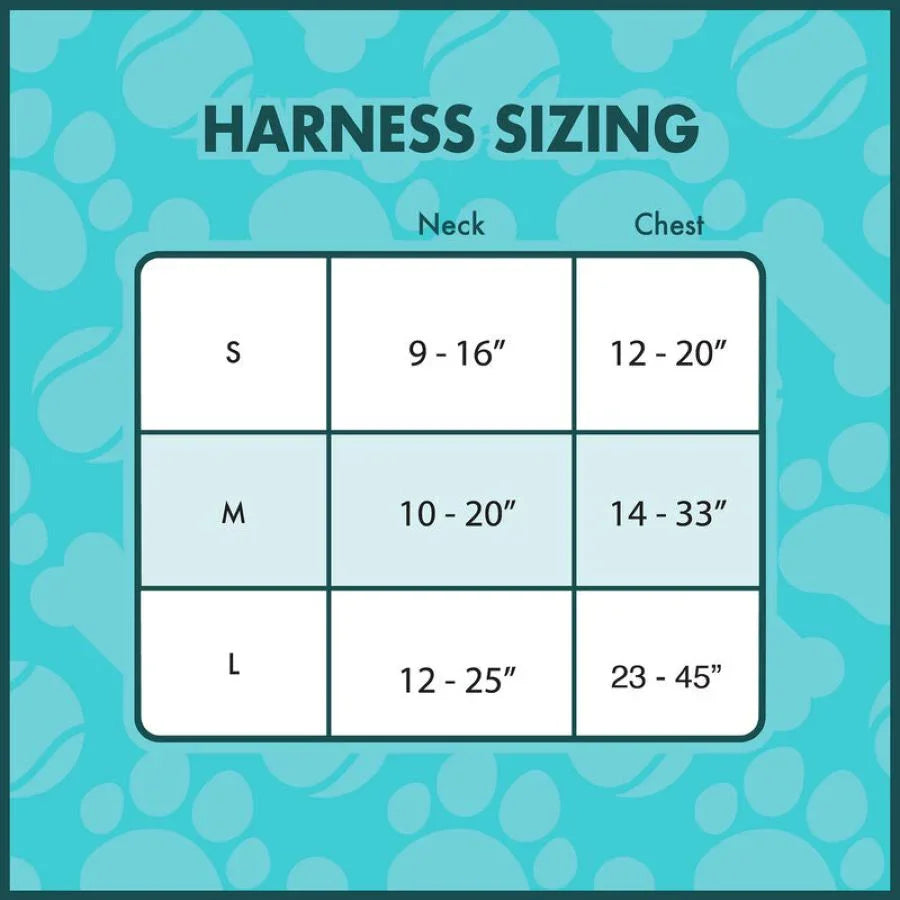 LOUDCCPDH0001S DC Comics - Batman: 85th Anniversary Mini Backpack Harness (Small) - Loungefly - Titan Pop Culture