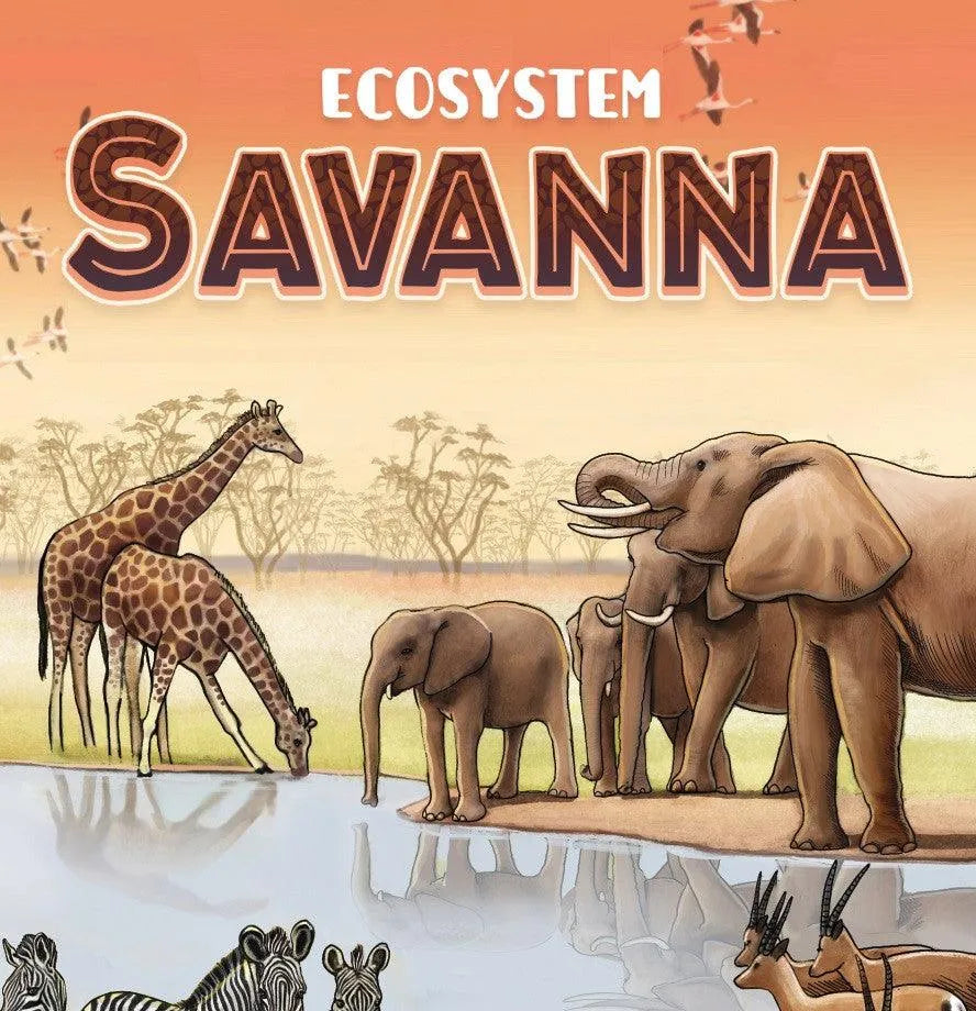 VR-106842 Ecosystem: Savanna - Genius Games - Titan Pop Culture